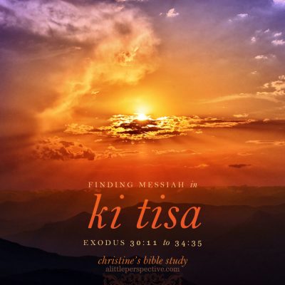 Finding Messiah in Ki Tisa, Exodus 30:11-34:35