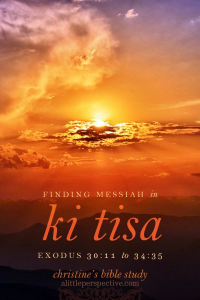 finding messiah in ki tisa, exodus 30:11-34:35 | christine's bible study at alittleperspective.com