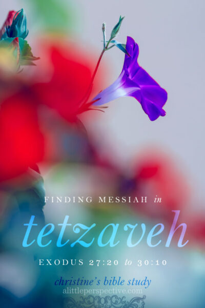 finding messiah in tetzaveh, exodus 27:20-30:10 | christine's bible study at alittleperspective.com