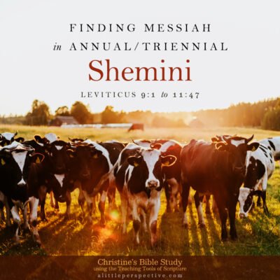 Finding Messiah in Shemini