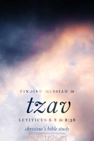 Finding messiah in tzav, lev 6:8-8:36 | christine's bible study at alittleperspective.com