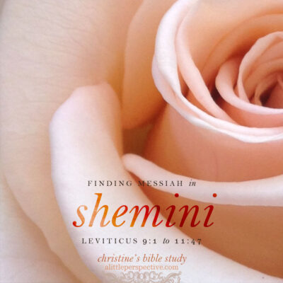 Finding Messiah in Shemini