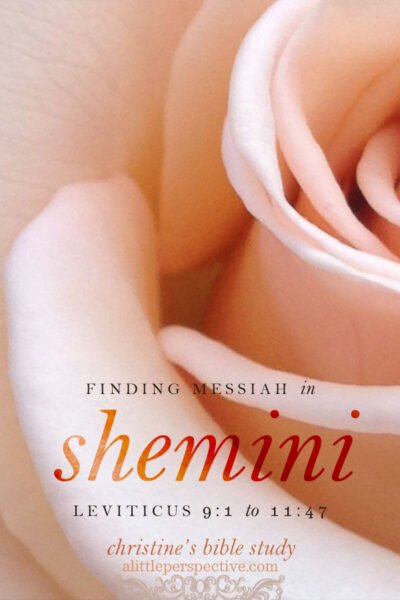 finding messiah in shemini, lev 9:1-11:47 | christine's bible study at alittleperspective.com
