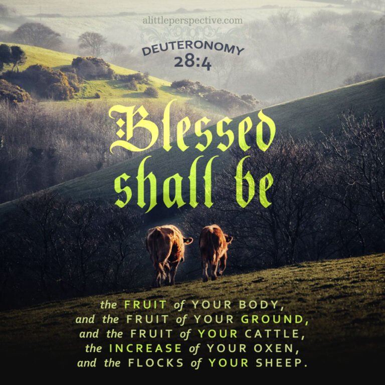 Deuteronomy 28