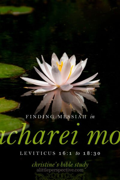 finding messiah in acharei mot, lev 16:1-18:30 | christine's bible study at alittleperspective.com