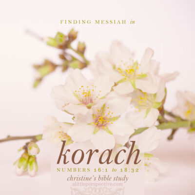 Finding Messiah in Korach, Numbers 16:1-18:32