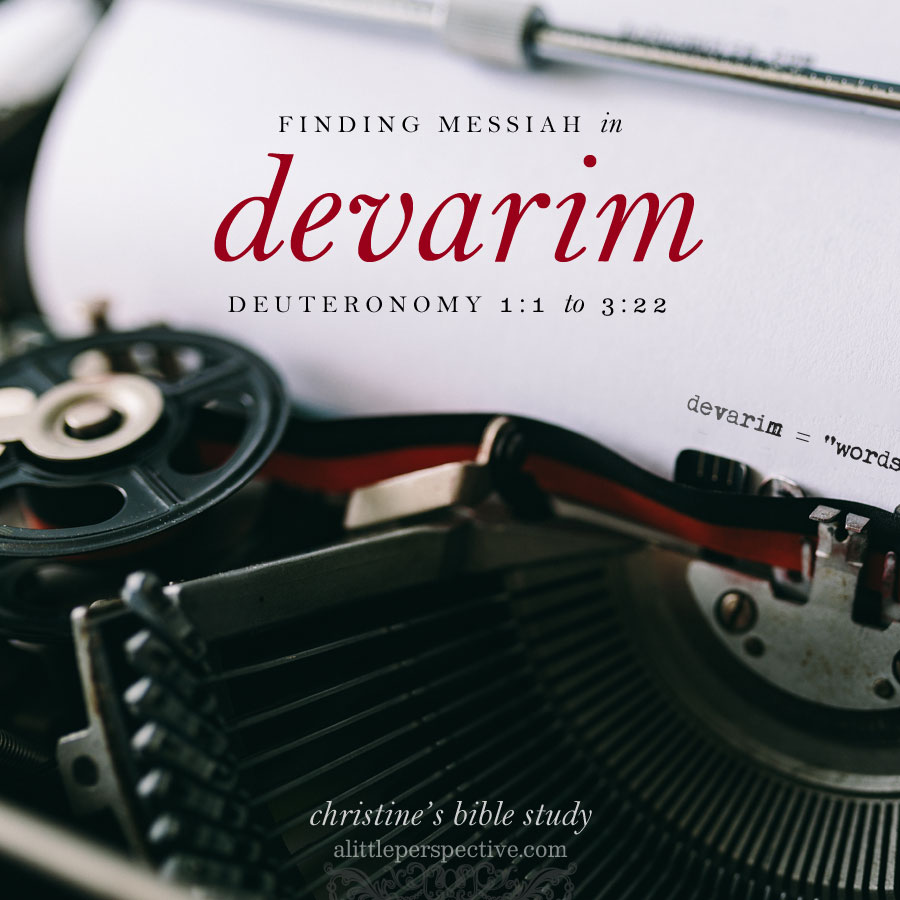 finding messiah in devarim, deu 1:1-3:22 | christine's bible study at alittleperspective.com