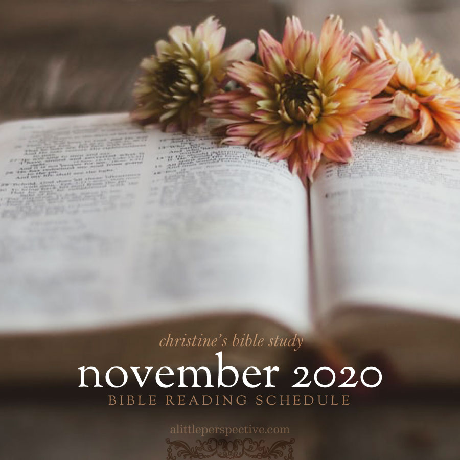 november 2020 bible reading schedule | christine's bible study at alittleperspective.com