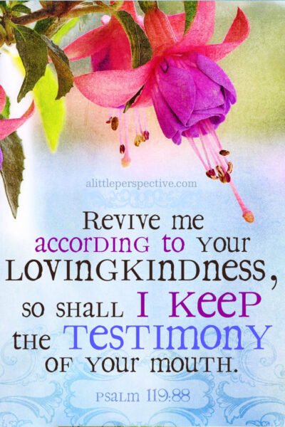 Psa 119:88 | scripture pictures at alittleperspective.com