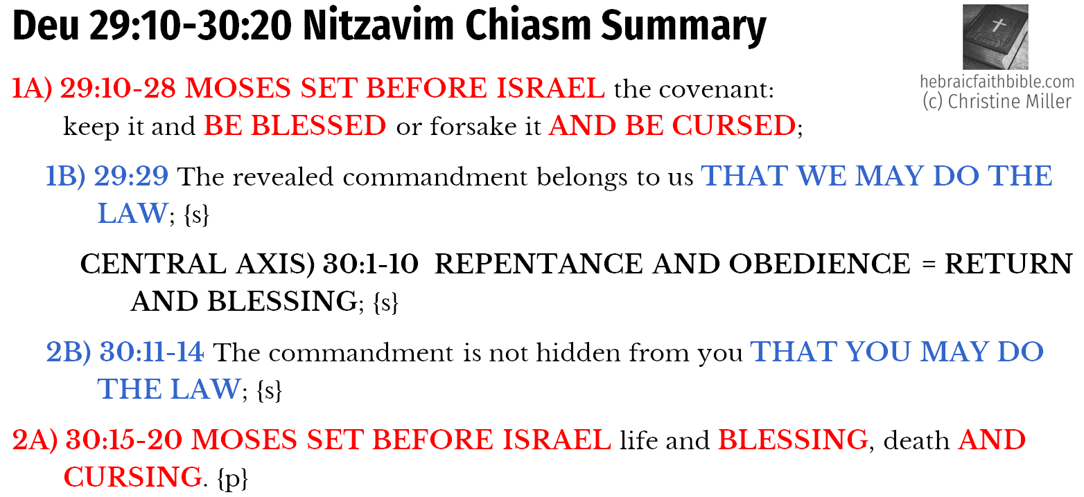 Deu 29:10-30:20 Nitzavim Chiasm Summary | hebraicfaithbible.com