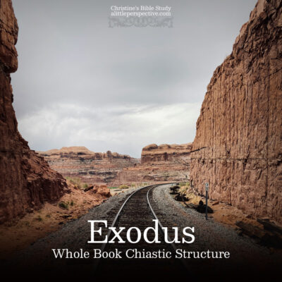 Exodus Whole Book Chiastic Structure