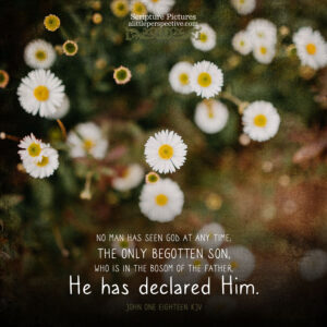 Joh 1:18 | Scripture Pictures @ alittleperspective.com