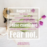 Hag 2:5 | scripture pictures @ alittleperspective.com