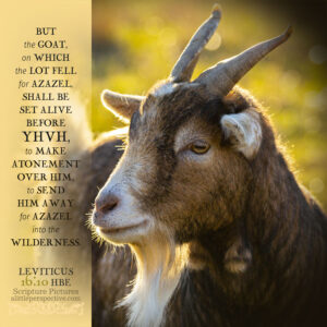 Lev 16:10 | scripture pictures @ alittleperspective.com