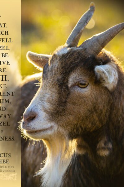 Lev 16:10 | scripture pictures @ alittleperspective.com