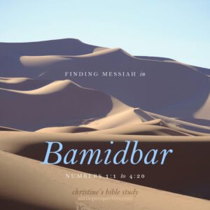 Finding Messiah in Bamidbar, Numbers 1:1-4:20