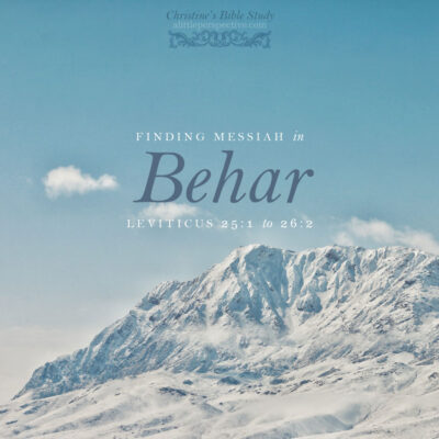 Finding Messiah in Behar, Leviticus 25:1-26:2