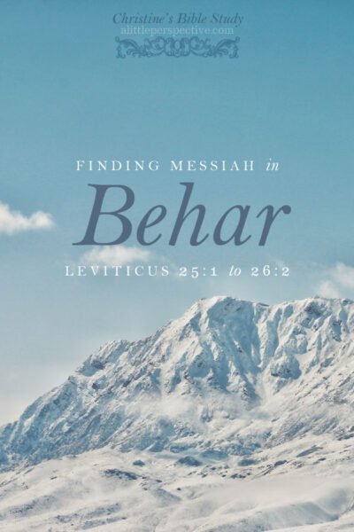 Finding Messiah in Behar, Leviticus 25:1-26:2 | christine's bible study @ alittleperspective.com