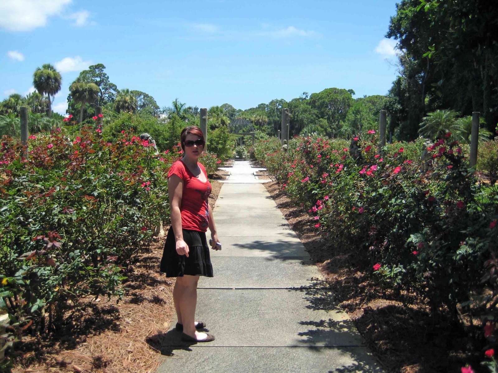 Ringling Museum Rose Garden