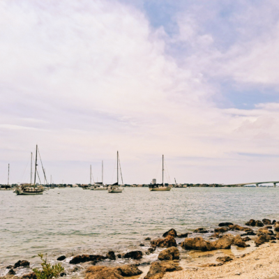 Sarasota Bayfront Park