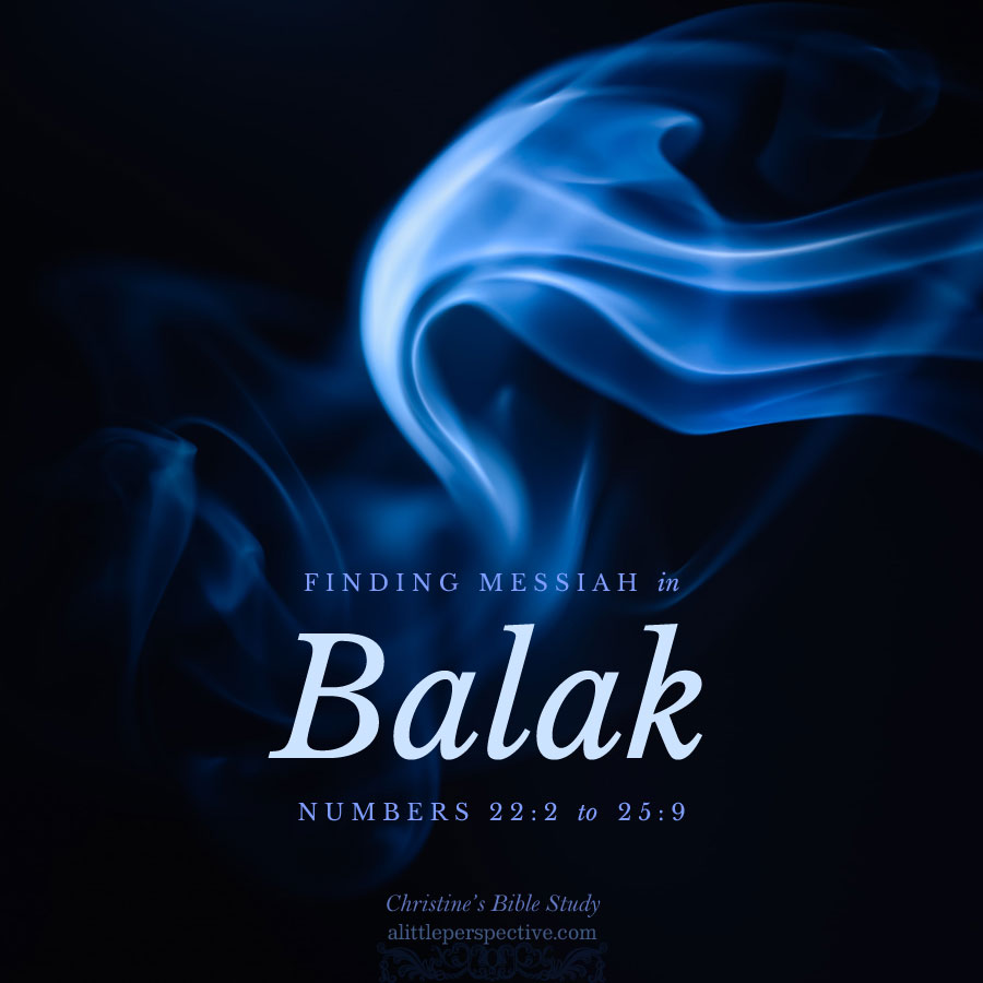Finding Messiah in Balak, Numbers 22:2-25:9 | Christine's Bible Study @ alittleperspective.com
