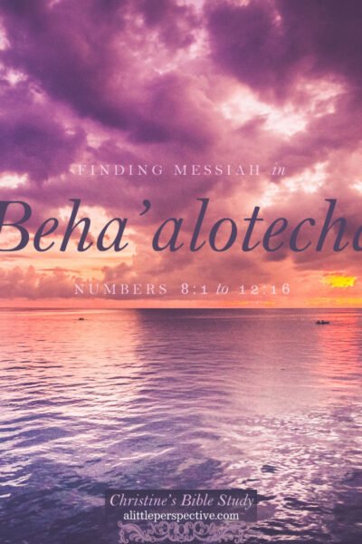 Finding Messiah in Beha'alotecha | christine's bible study @ alittleperspective.com