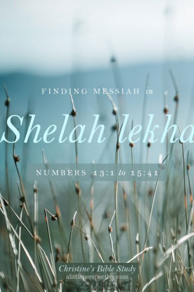 Finding Messiah in Shelah lekha | christine's bible study @ alittleperspective.com