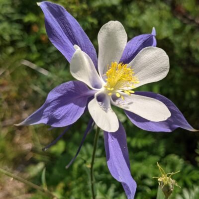 Zane’s Photography