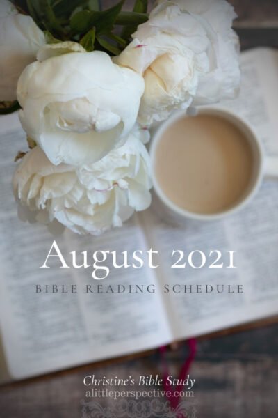 August 2021 Bible Reading Schedule | Christine's Bible Study @ alittleperspective.com