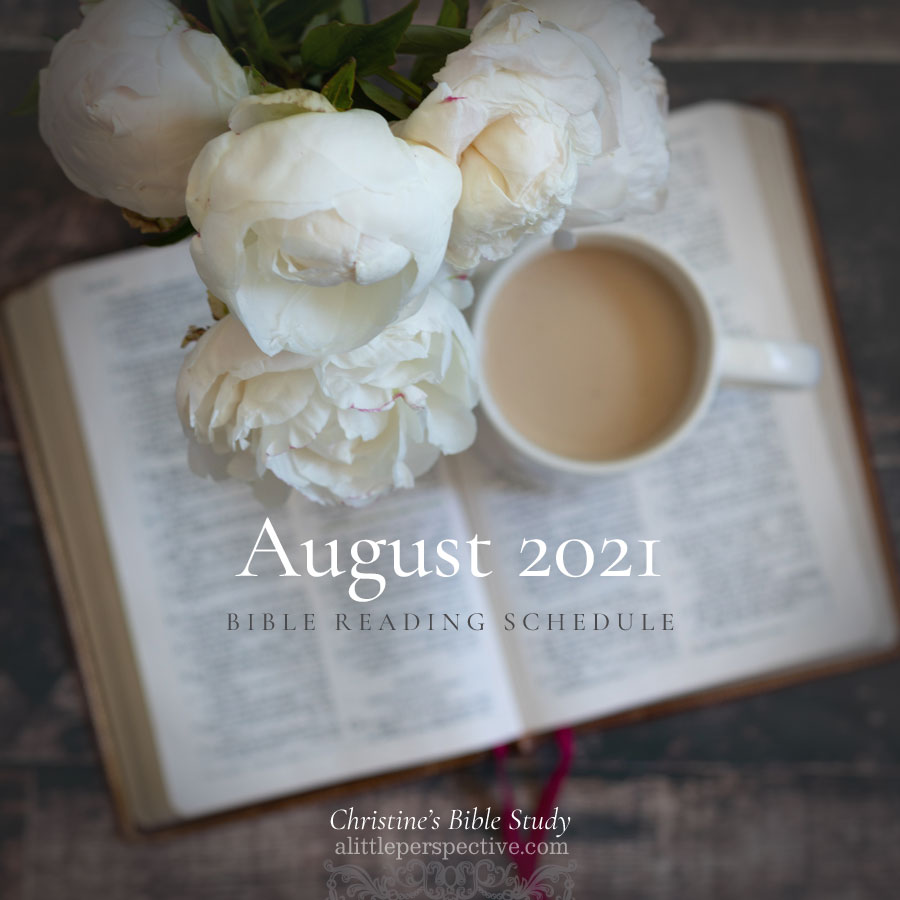 August 2021 Bible Reading Schedule | Christine's Bible Study @ alittleperspective.com
