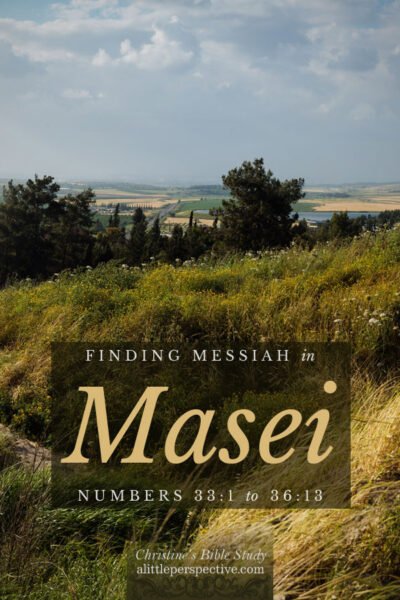 Finding Messiah in Masei, Numbers 33:1-36:13 | Christine's Bible Study @ alittleperspective.com