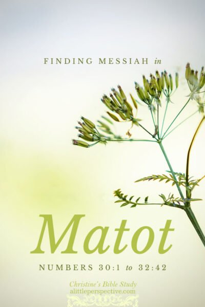 Finding Messiah in Matot, Numbers 30:1-32:42 | Christine's Bible Study @ alittleperspective.com
