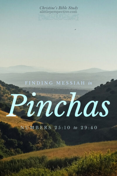 Finding Messiah in Pinchas, Numbers 25:10-29:40 | Christine's Bible Study @ alittleperspective.com