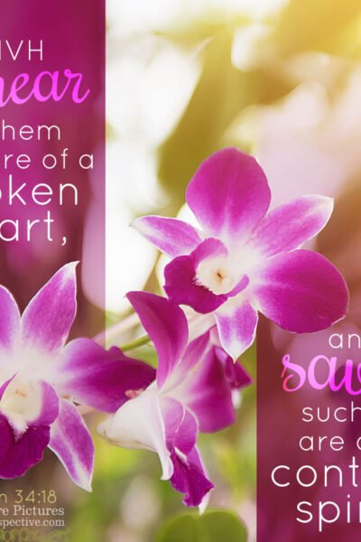 Psa 34:18 No matter how long you have traveled in the wrong direction, you can always turn around. #TruthForToday﻿ #Teshuvah﻿ ﻿#FortyDaysOfTeshuvah﻿ ﻿#MemesThatMatter alittleperspective.com