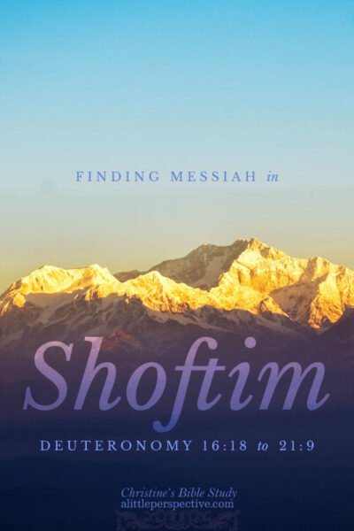 Finding Messiah in Shoftim, Deuteronomy 16:18-21:9 | Christine's Bible Study @ alittleperspective.com