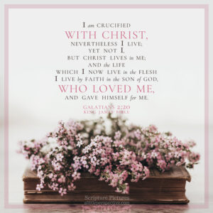 Gal 2:20 | Scripture Pictures @ alittleperspective.com