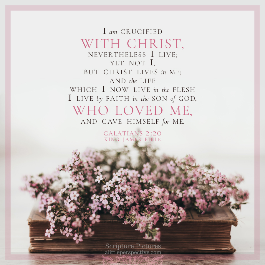 Gal 2:20 | Scripture Pictures @ alittleperspective.com