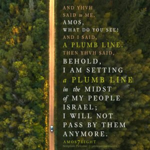 Amo 7:8 | Scripture Pictures @ alittleperspective.com