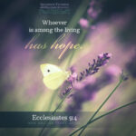 Ecc 9:4 | Scripture Pictures @ alittleperspective.com