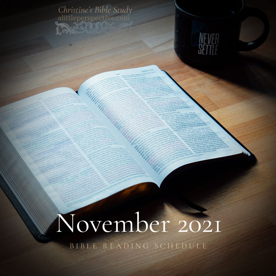 November 2021 Bible Reading Schedule | Christine's Bible Study @ alittleperspective.com
