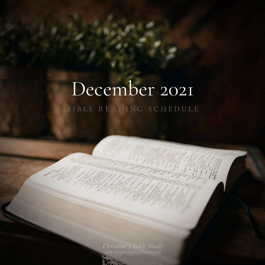 December 2021 Bible Reading Schedule | Christine's Bible Study @ alittleperspective.com