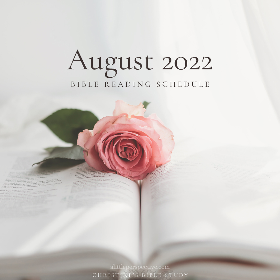 August 2022 Bible Reading Schedule | christine's bible study @ alittleperspective.com