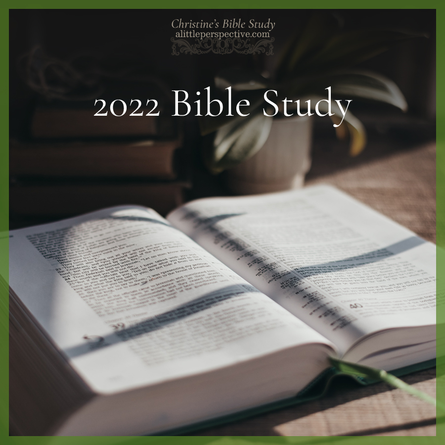 2022 Bible Study Schedule | Christine's Bible Study @ alittleperspective.com