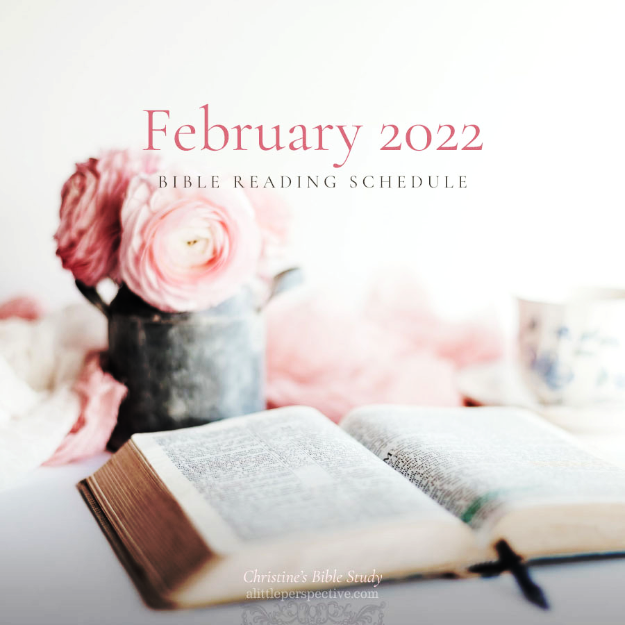 February 2022 Bible reading schedule | Christine's Bible Study @ alittleperspective.com 
