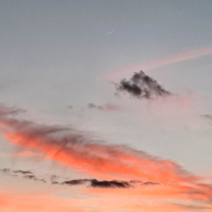 The 12th month new moon came out!