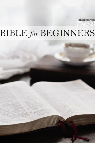 Bible for Beginners | Christine's Bible Study @ alittleperspective.com