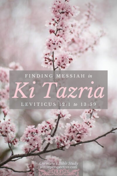 Finding Messiah in Ki Tazria | Christine's Bible Study @ alittleperspective.com