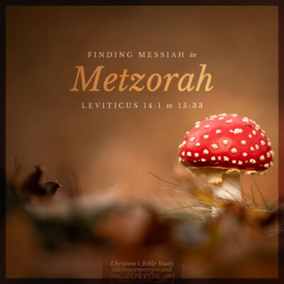 Finding Messiah in Metzorah, Leviticus 14:1-15:33
