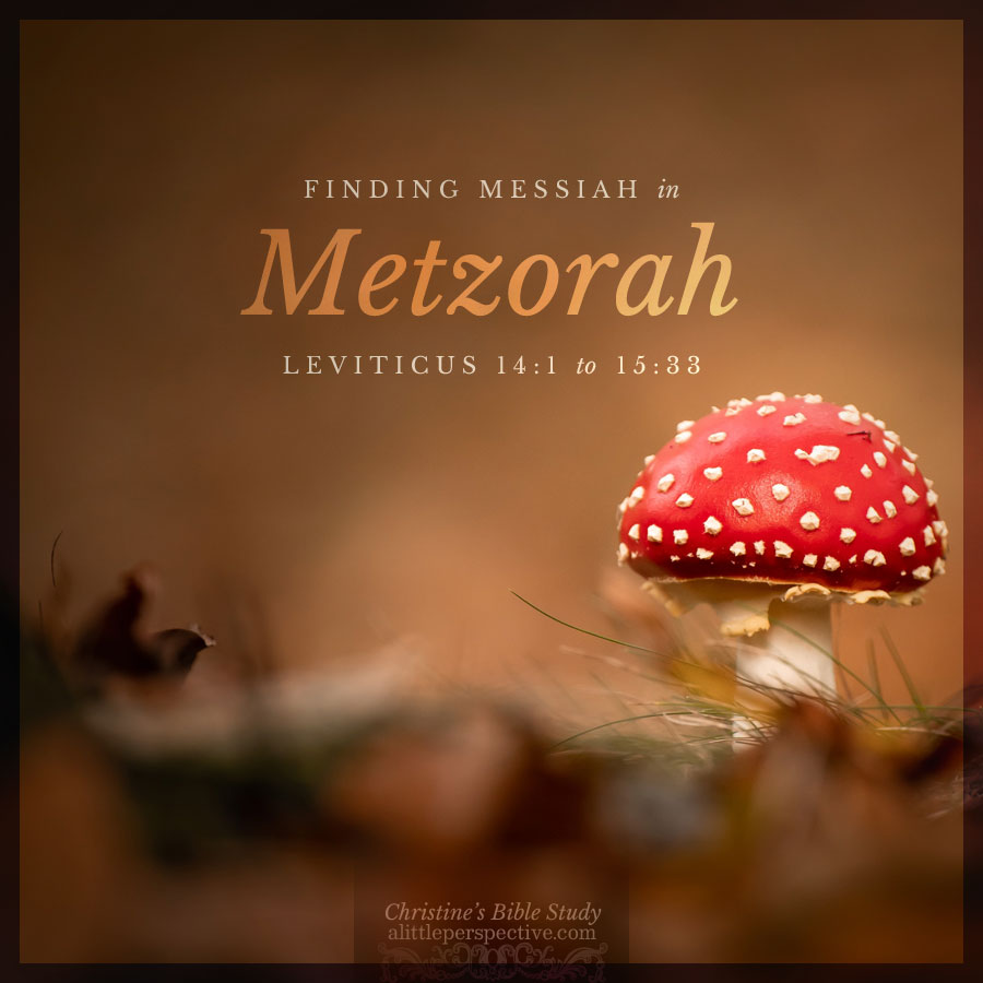 Finding Messiah in Metzorah, Leviticus 14:1-15:33 | alittleperspective.com