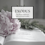Exodus Text Modernized | Christine's Bible Study @ alittleperspective.com